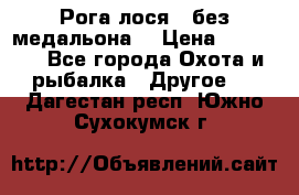 Рога лося , без медальона. › Цена ­ 15 000 - Все города Охота и рыбалка » Другое   . Дагестан респ.,Южно-Сухокумск г.